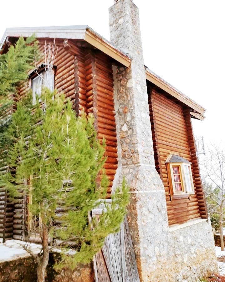Paradise Chalet Ano Trikala Exterior photo